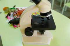Научно-образовательная деятельность для детей 4-7 лет "Знакомство с микроскопом"